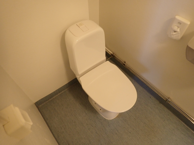 WC-stol. 2 st olika förekommer. ca 15 st totalt